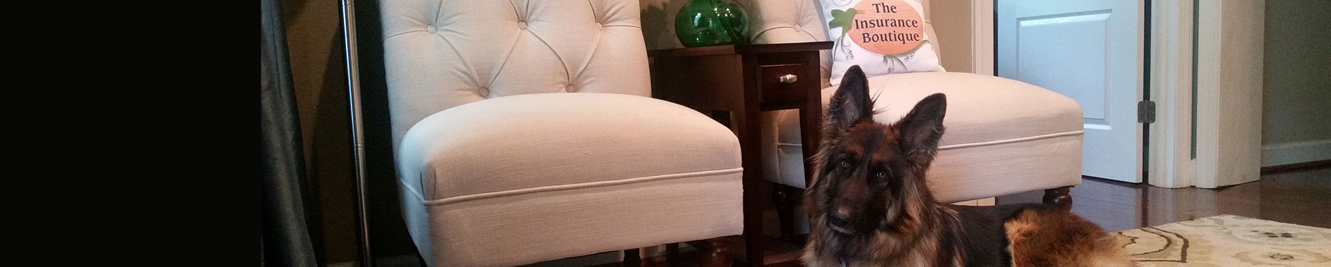 Featured Testimonials